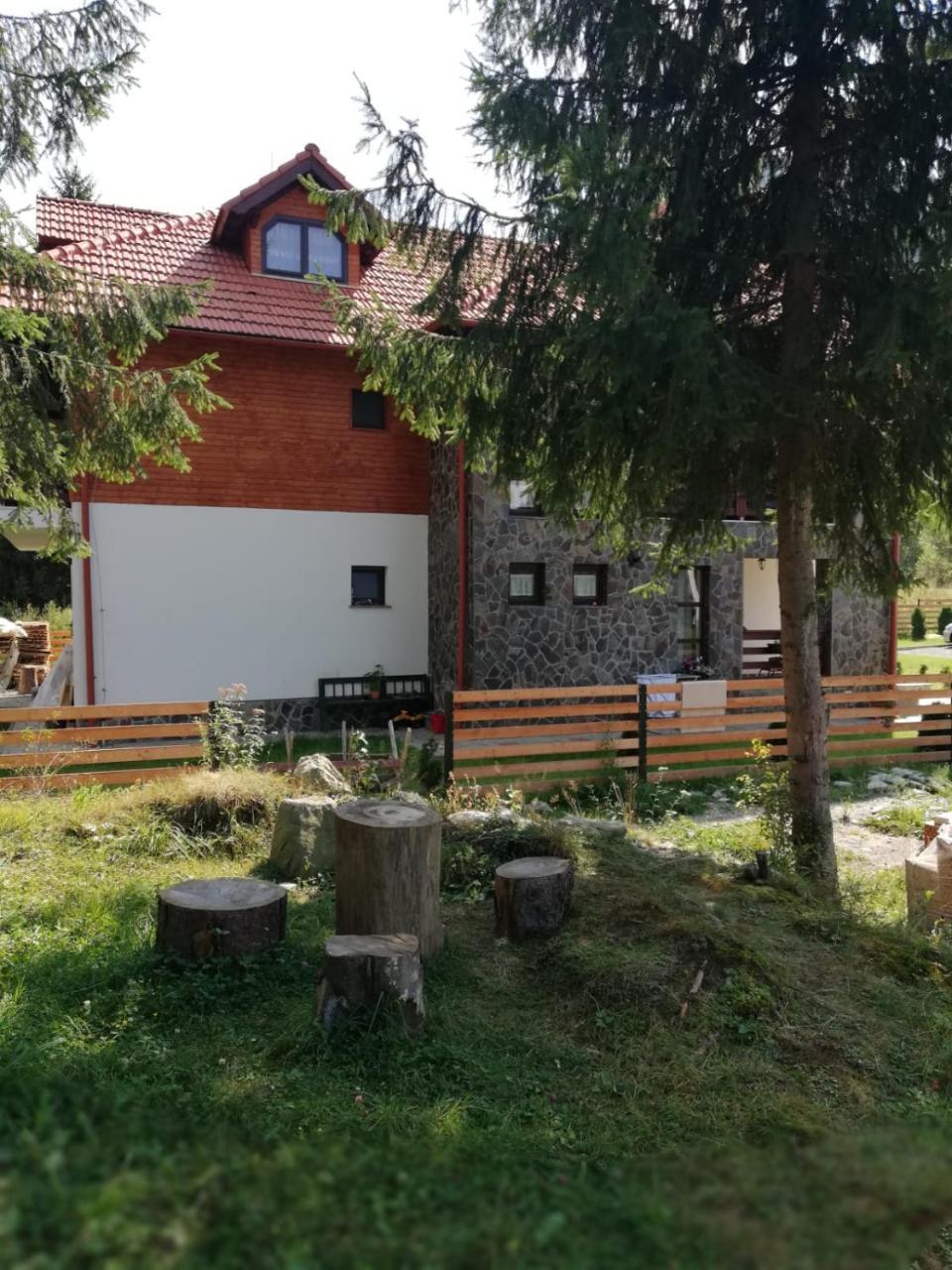 Pensiunea Pietrosul Rodnei Moisei Εξωτερικό φωτογραφία